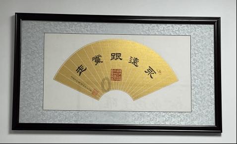 拯救受伤的猫