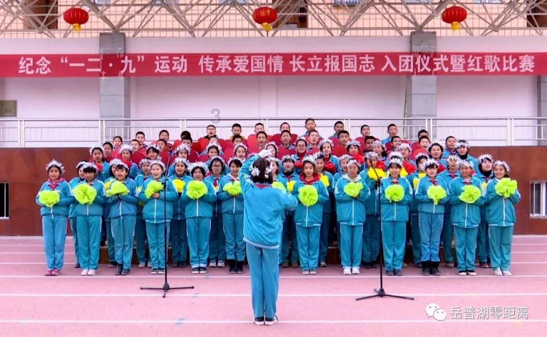 小猫钓鱼开船版最新版下载